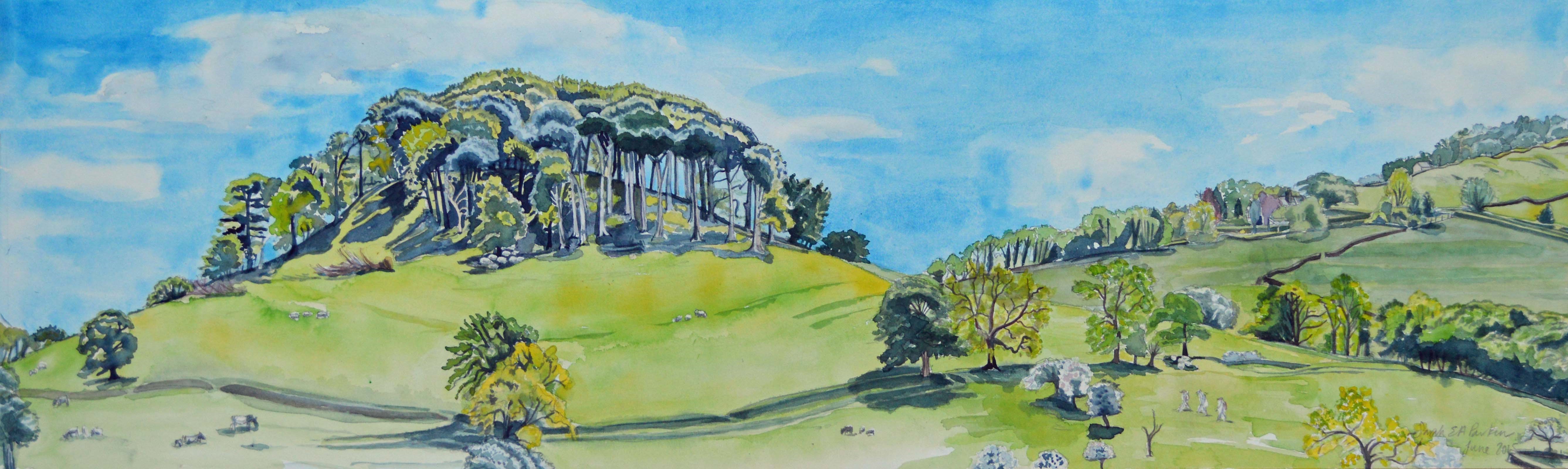 Sarah Parkin Peak Tor in Summer